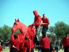 Red Raiders